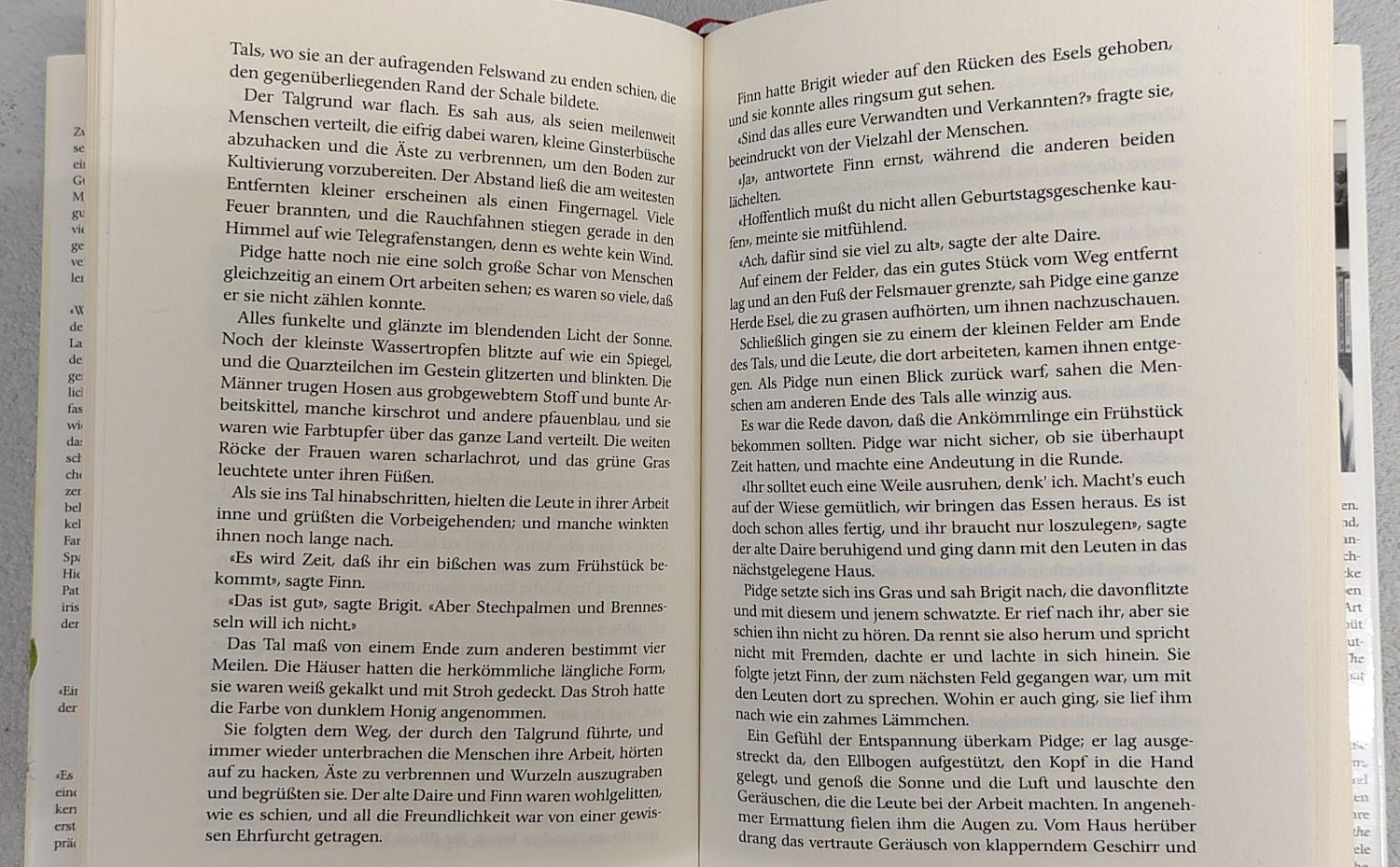 Libri: Die Meute der Morrigan - Pat O'Shea – Usato da Zürich venduto da kba_579s 3