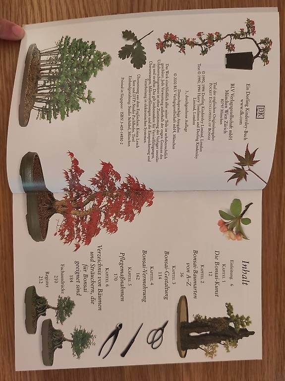 claus preisinger bonsai Bonsai 2024  Newcomer Wines