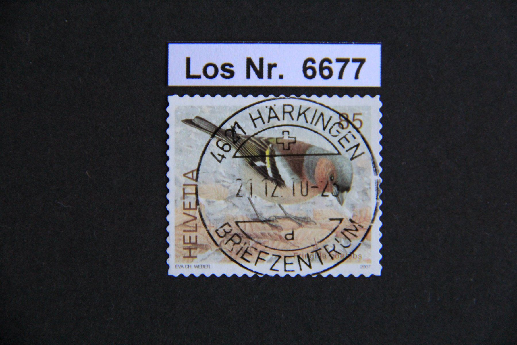 Tutti i francobolli: CH 2007 sauberer Vollstempel                        Los 6677 – Usato da Volken venduto da jukon65