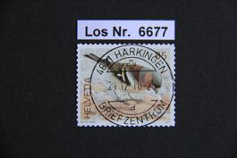 CH 2007 sauberer Vollstempel                        Los 6677