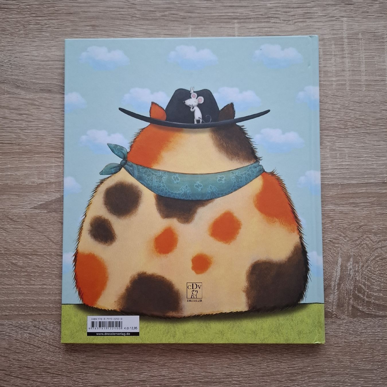 Libri: Chester ist wieder da! Kinderbuch – Usato da Hägglingen venduto da Pilipadin 1