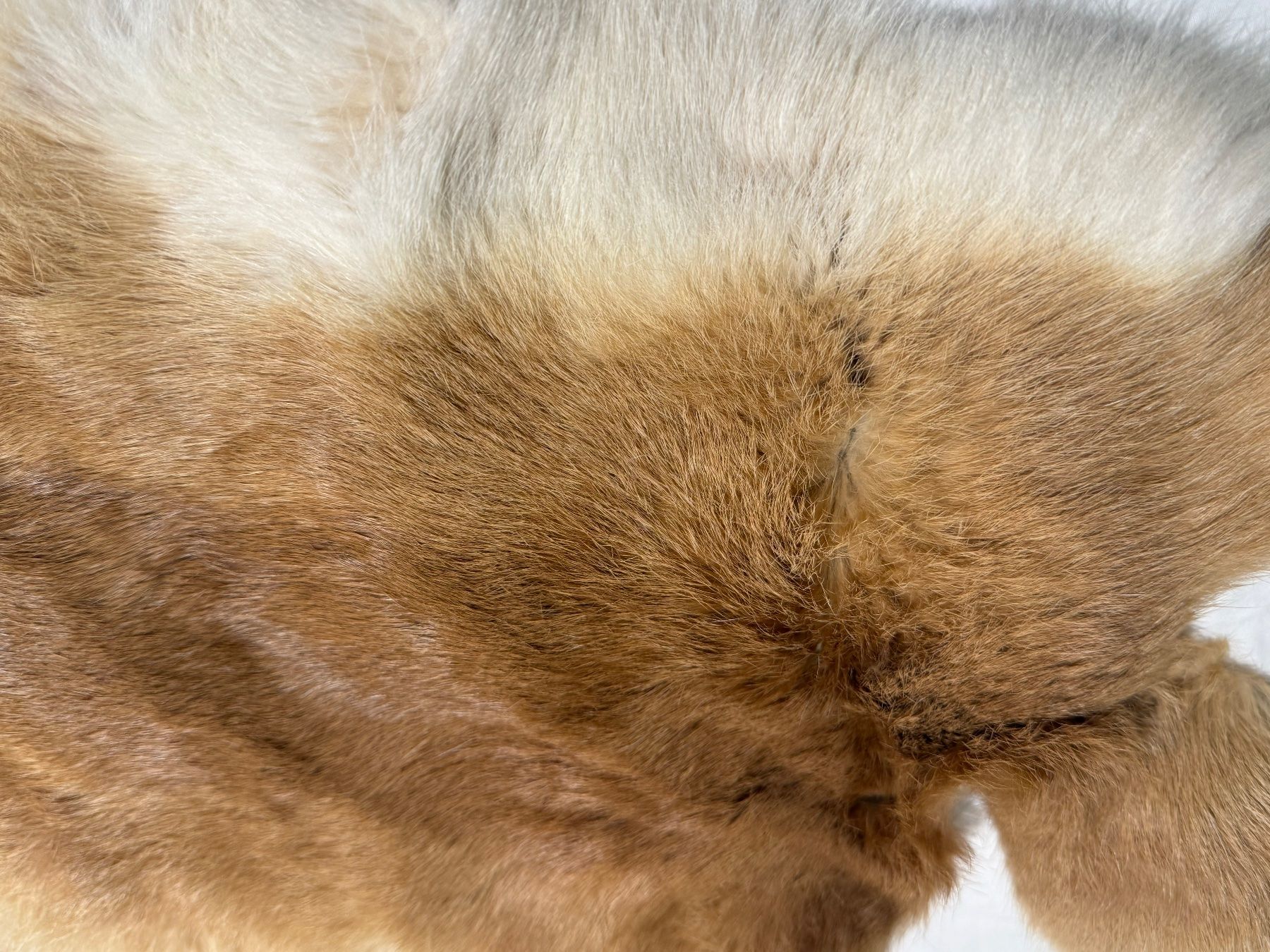 Coperte: Echtes Hasenfell braun weiss – Usato da Basel venduto da karpfen17 1