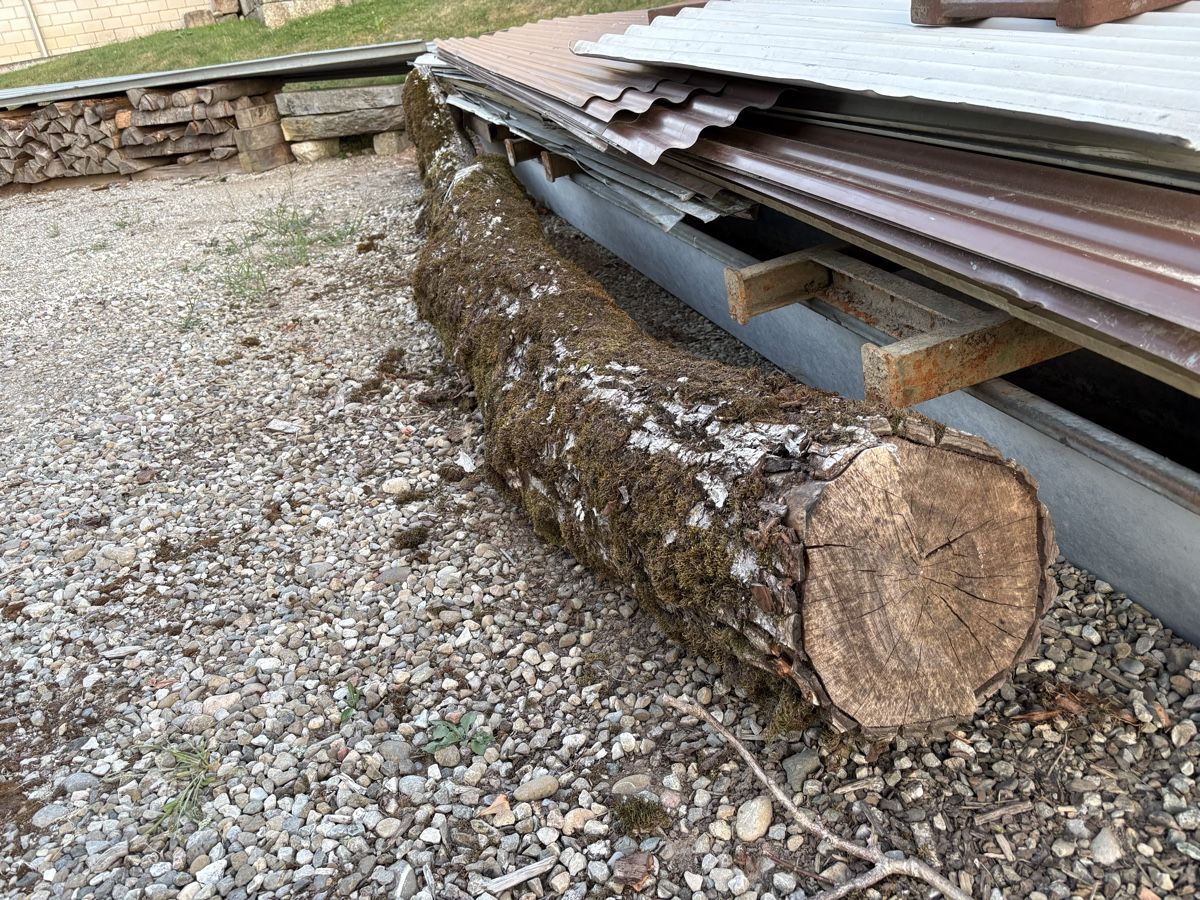 Articoli in legno: Nussbaumholz Ast ca. 30cm dick, 4m lang – Usato da Thunstetten venduto da D_aernscht 2