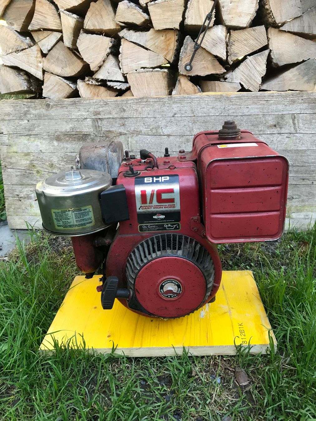 Motori: Benzinmotor Briggs stratton – Usato da Elm venduto da 2084SRB