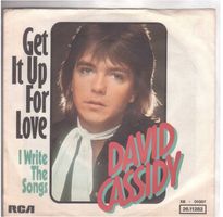 David Cassidy  --  Get it up for love  Single7