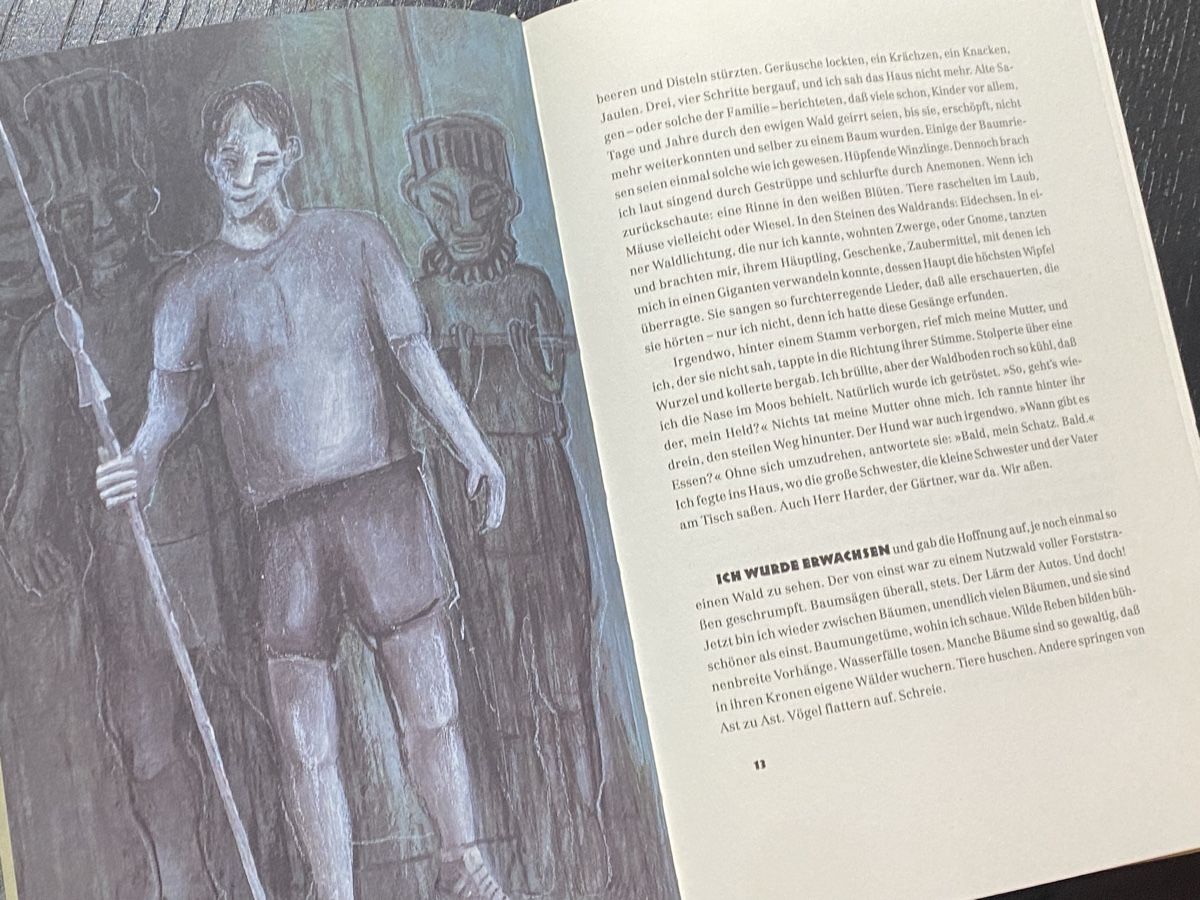 Libri: Urs Widmer: Im Kongo - Illustriert – Usato da Zuerich venduto da SonderArt-Wertgut 2