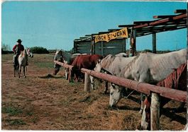 Ranch St-Jean, Serignan Plage (Hérault), circulée 1978