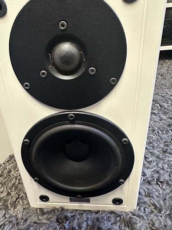 Casse acustiche: Dynaudio Contour 1.1 – Usato da Niederhasli venduto da mar_99xb 1