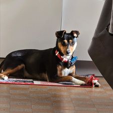 Profile image of jos_ss9z