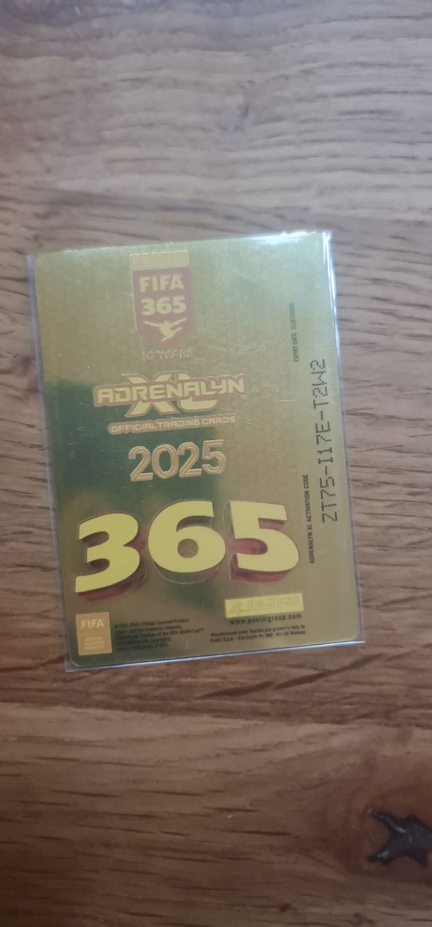 Panini Sammelbilder & Trading cards: Invincible FIFA365 – Gebraucht aus Safnern von Brionne 1