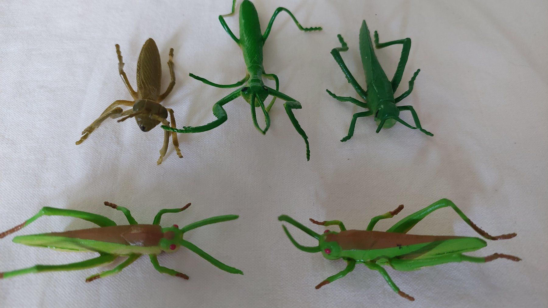 Jouets: viele Insekten – D'occasion à Uitikon Waldegg par Smeragol 3