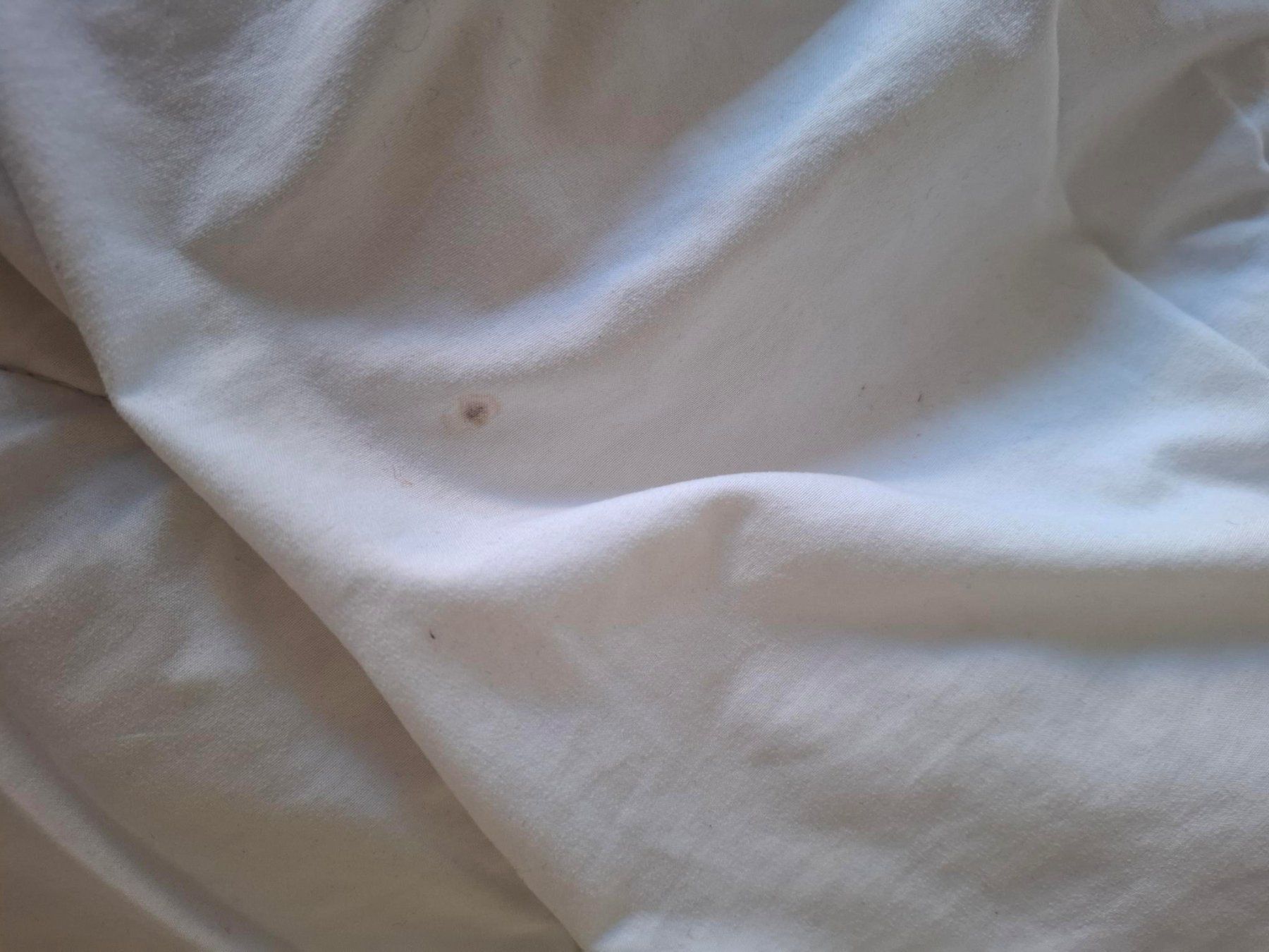 Coperte: duvet – Usato da Porrentruy venduto da Piquetix 1