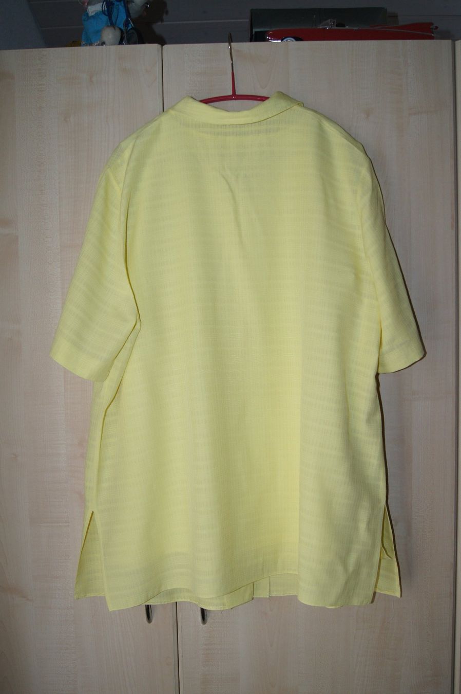 Camicette: Bluse und Top Gr. 50 – Usato da Luterbach venduto da Eggenschw5 5