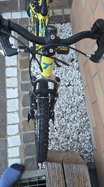 Biciclette: Kindervelo, Velo – Usato da Sulz AG venduto da Artikulist 3