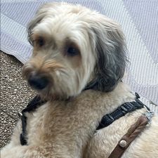 Profile image of mar_lwt8