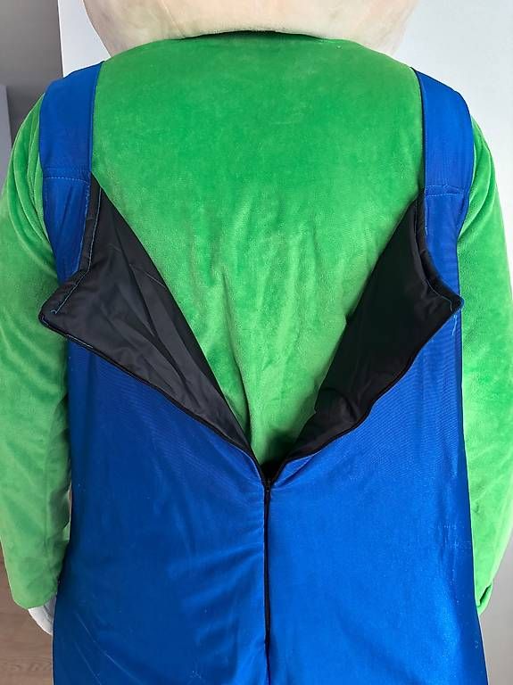 Costumi: Fasnachtskostüm / Partykostüm Luigi Vollmaske – Usato da Rafz venduto da MarcoSw85 3