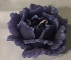 Romantische Rosenkerze in Lila - Perfekt für den Winter
