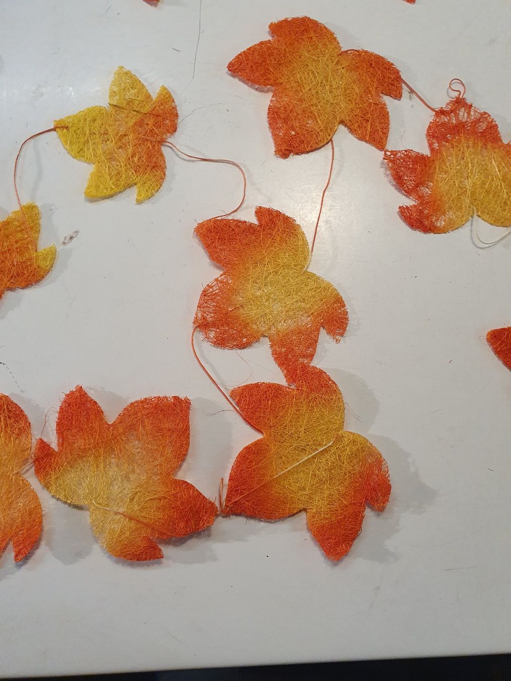 Piante & sementi: Herbstschmuck – Usato da Zürich venduto da loosebone 4