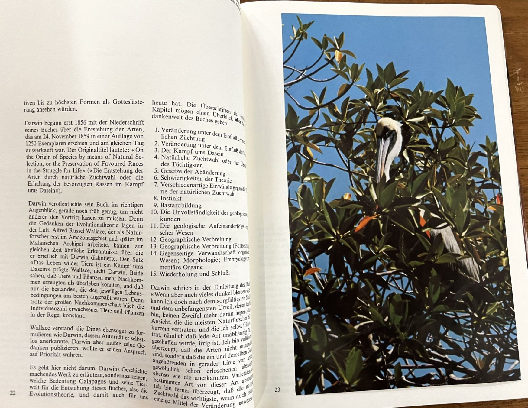 Libri: Silva Verlag, Zoo Galapagos, 1973 – Usato da Oftringen venduto da Vucki 5