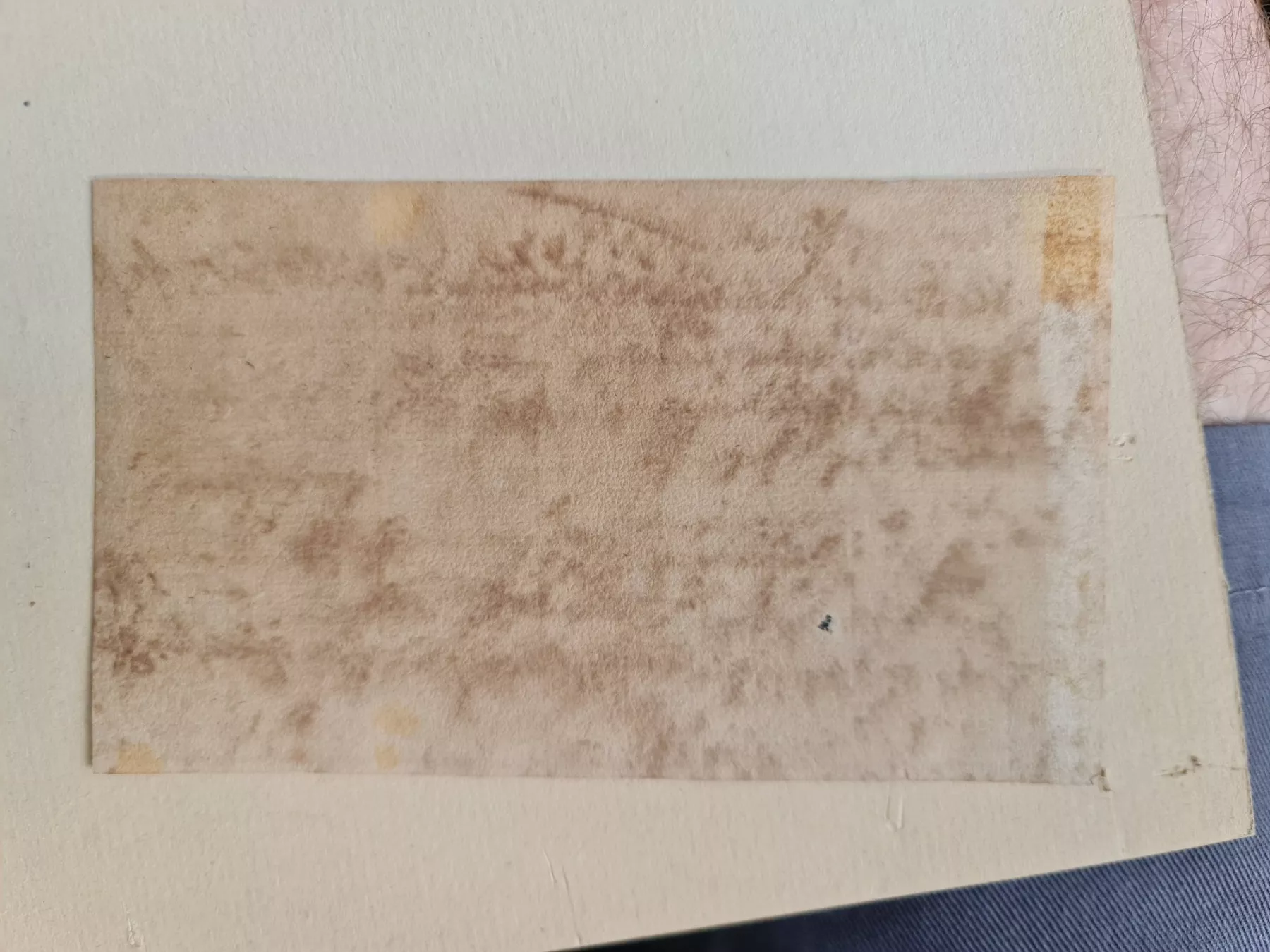 Documenti: Wolfgang Amadeus Mozart – Usato da Degersheim venduto da Tosam_Degersheim 2