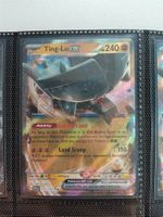 Ting-Lu ex