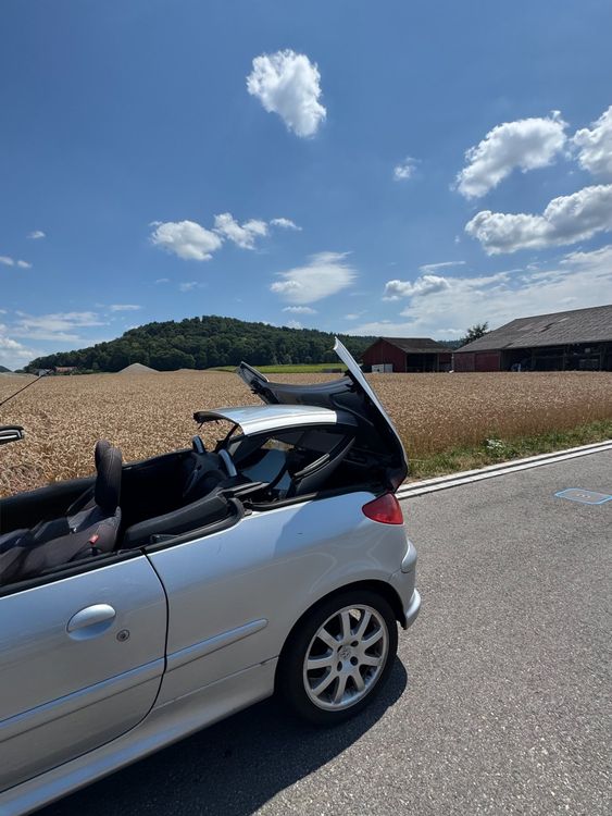 Peugeot Automobili: PEUGEOT 206 1.6 Cabrio – Usato da Embrach venduto da Lufi68 6
