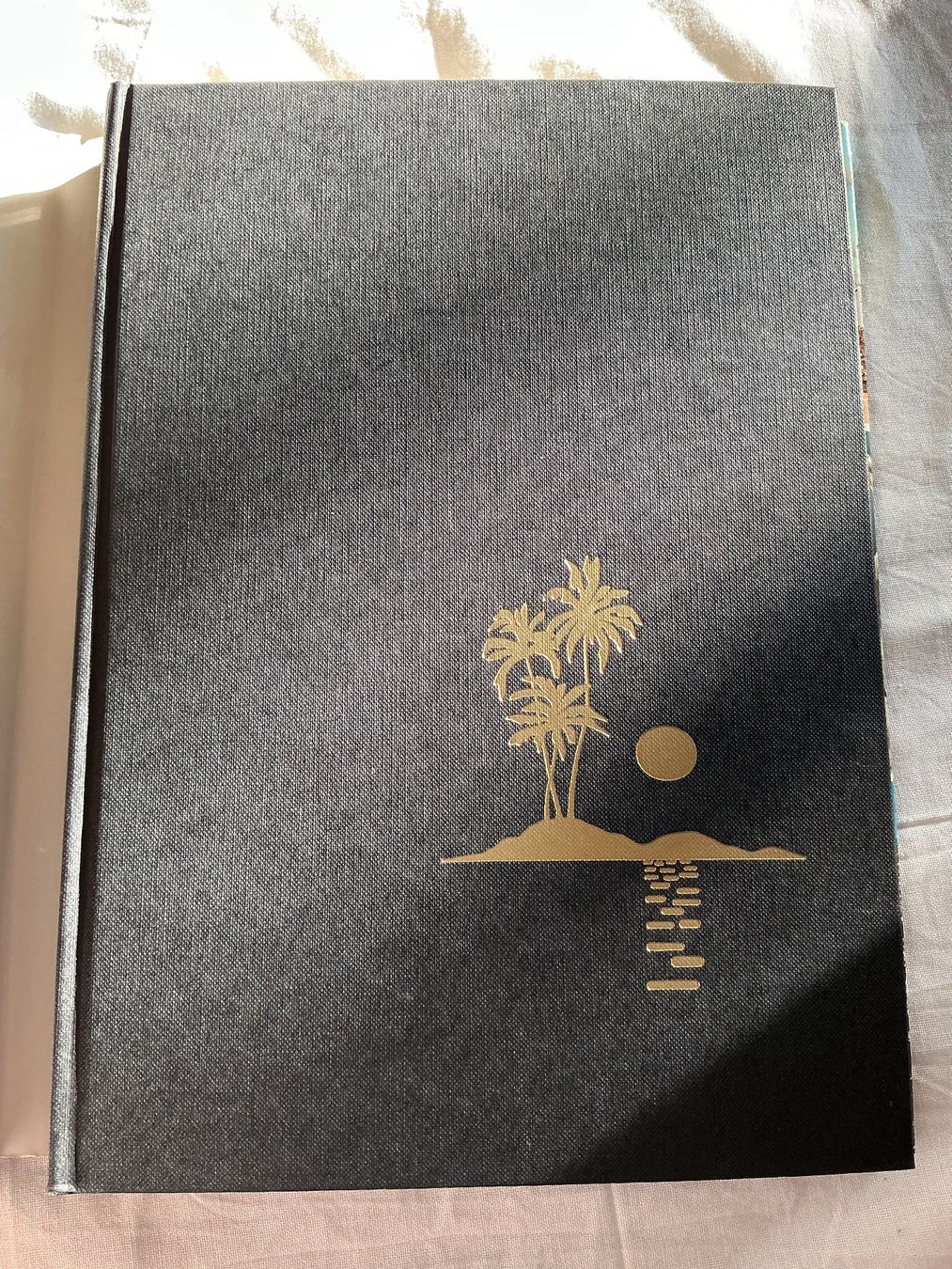 Libri: Silva Buch Inseln im indischen Ozean – Usato da Niederhasli venduto da ercp4 3