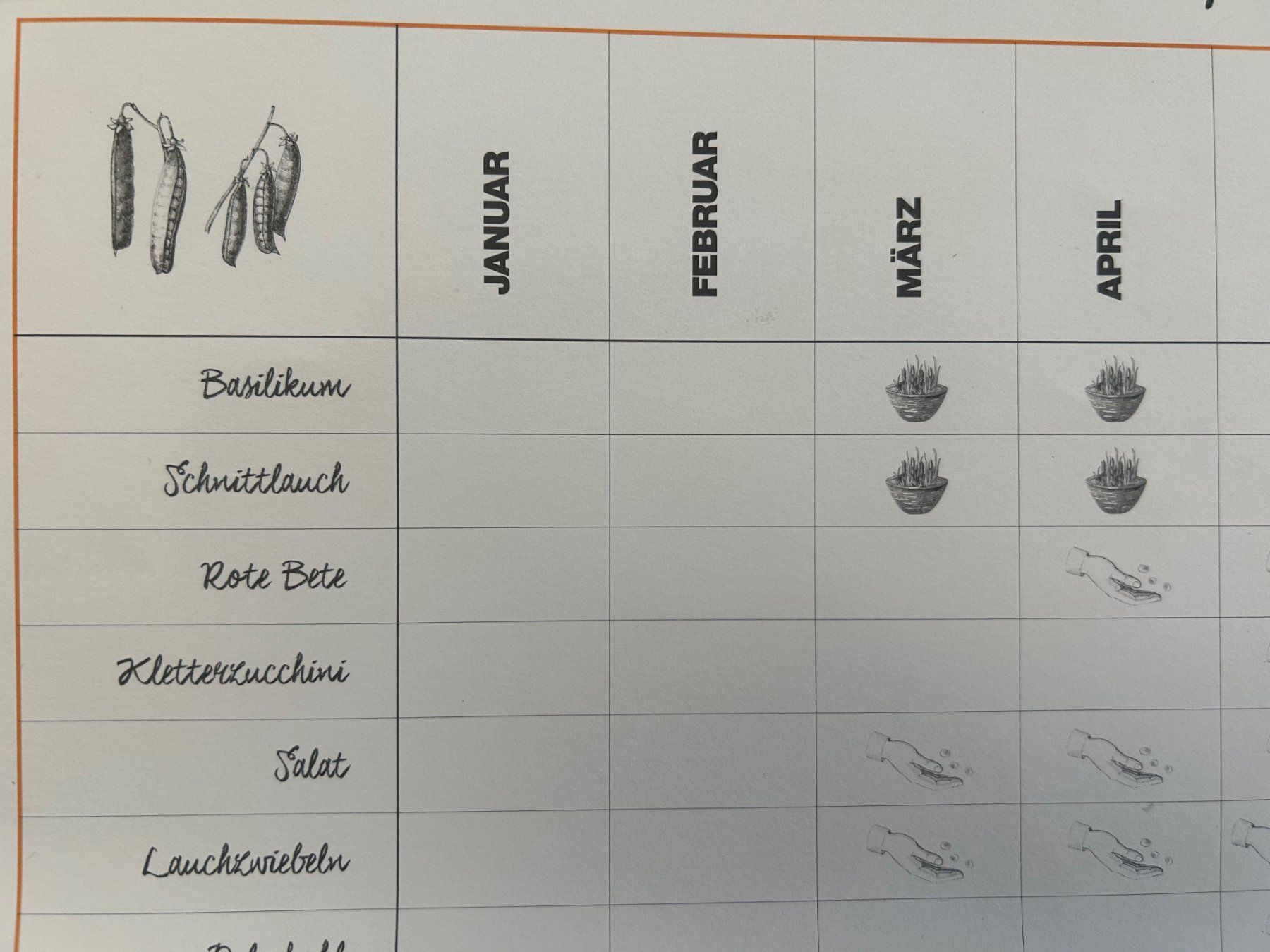 Foto & Immagini: Gartenkalender-Poster (Flow-Verlag / A2) – Nuovo e nell'imballaggio originale da Bern venduto da san_svt6 1