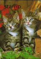 AK Katzen_mit 2 Katzenkinder