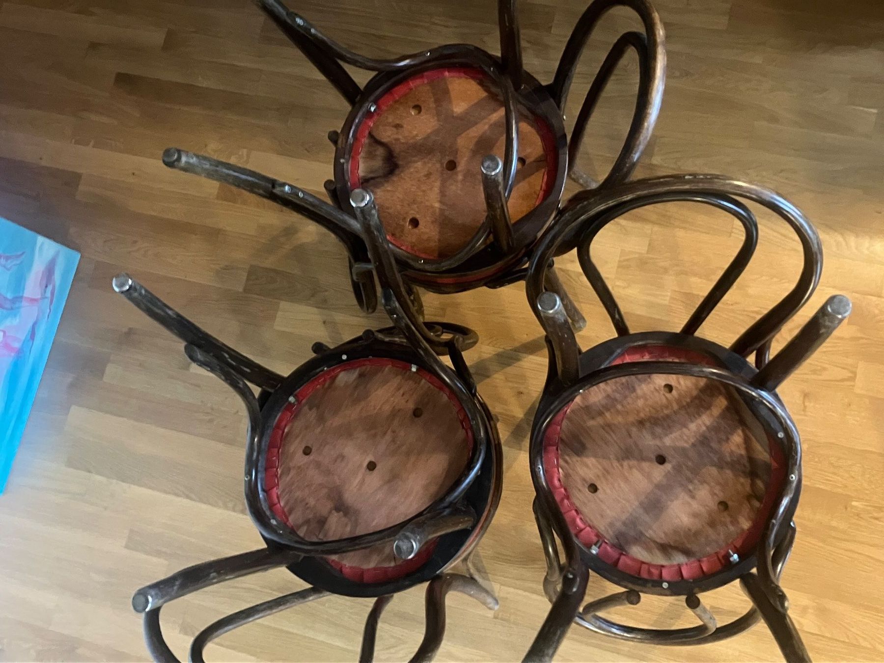 Sedie: Bugstühle – Usato da Basel venduto da eclipse012 4