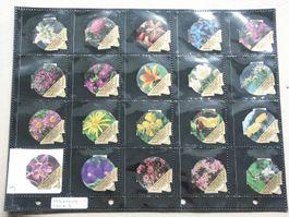 Frankreich Serie  3   Geschützte Blumen