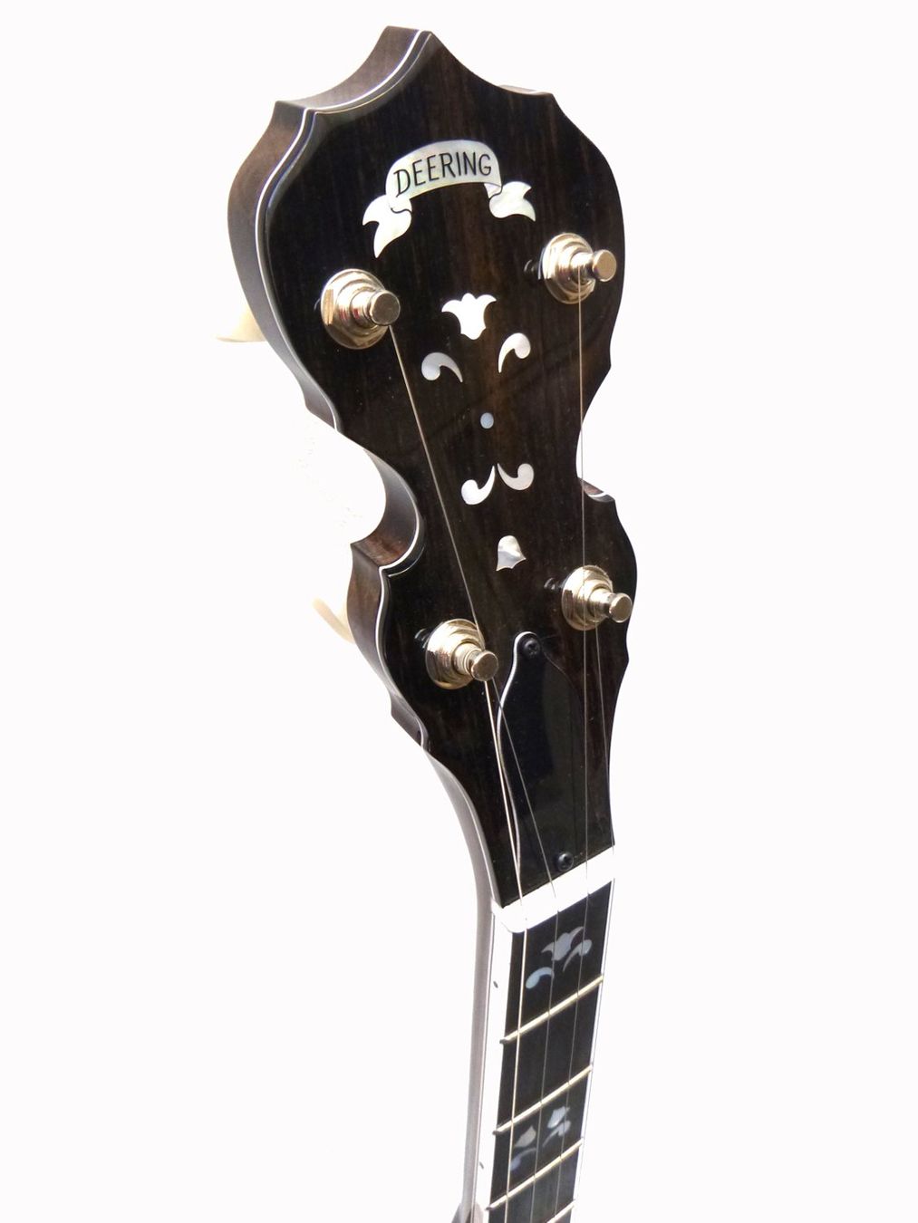 Strumenti musicali: DEERING Maple Blossom – Nuovo e nell'imballaggio originale da Schaffhausen venduto da Saitensprung_SH 5