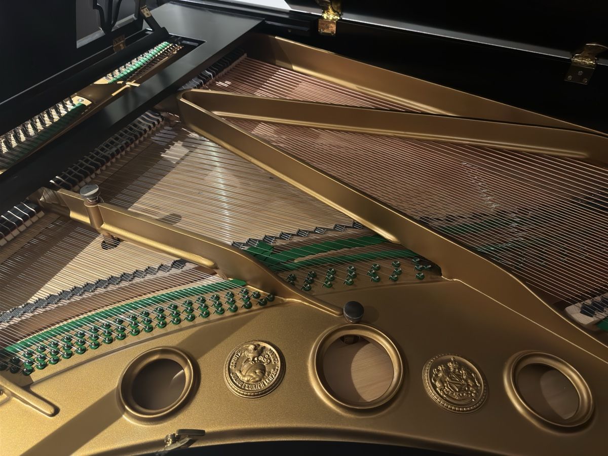 Feurich Strumenti musicali: Piano à queue FEURICH noir de 1928 – Usato da Premier venduto da noe_w6s6 4