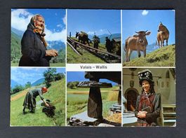 AK Valais Wallis