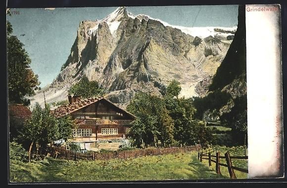 Cartoline postali: AK Grindelwald, Alpenhof mit Gebirge – Usato da Berlin venduto da bartko-reher