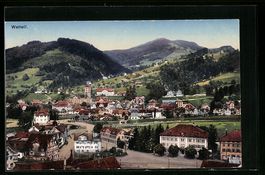 Wattwil, Ortsansicht auf Kirche, Häuser