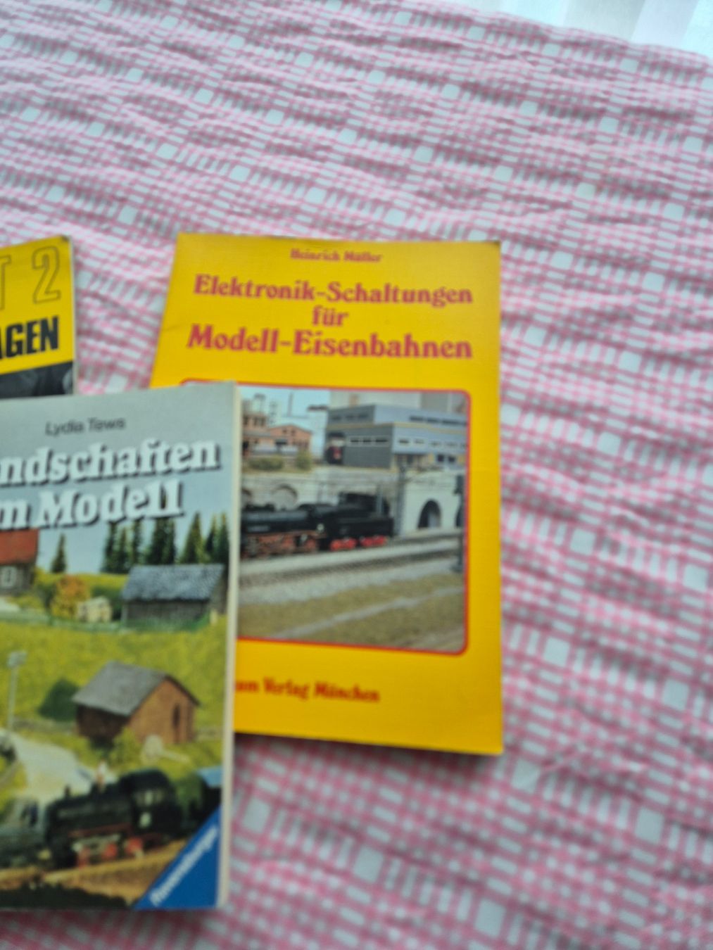 Libri: Modellbahnbücher – Usato da Stachen venduto da campclenga 2
