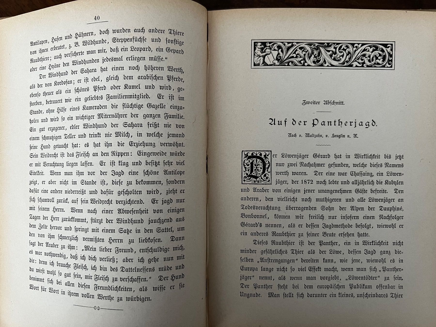 Libri: Antikes Buch: "gefährliche Jagden" 1882 – Usato da Adliswil venduto da Mandela 2