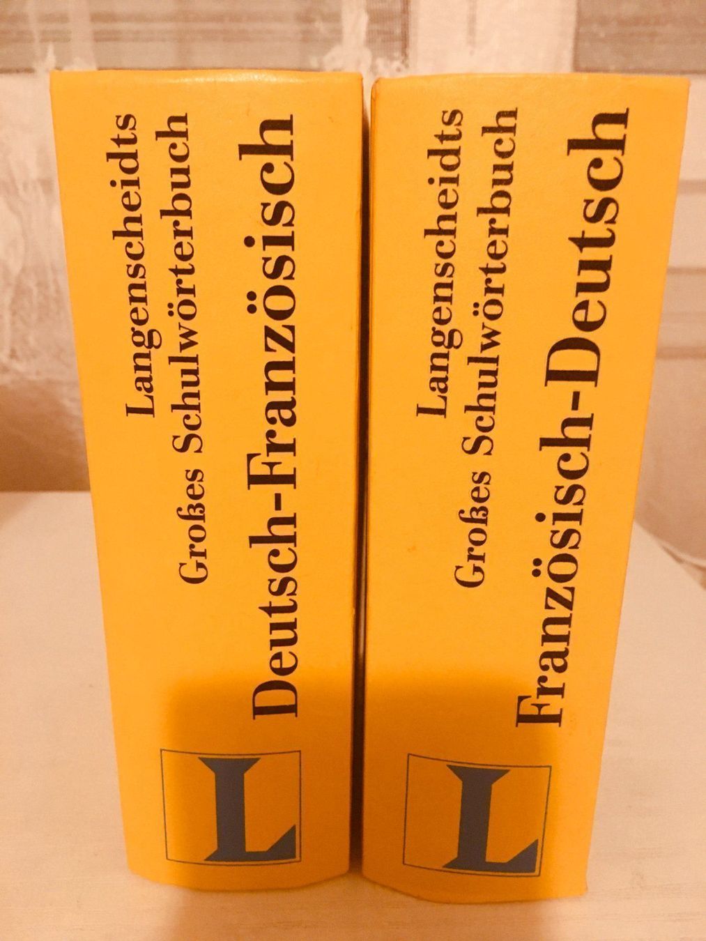 Libri: Dictionnaire – Usato da La Tour-de-Peilz venduto da Halltal