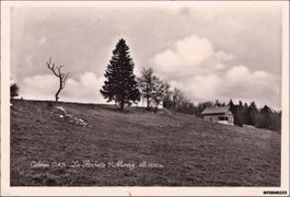 Court BE Montoz // La Rochette sur Montoz 1940