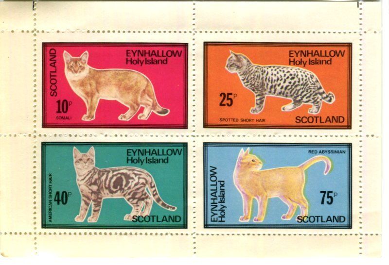 Tutti i francobolli: Block "Katzen". Schottland. – Nuovo e nell'imballaggio originale da Basel venduto da Butsch5