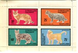Block "Katzen". Schottland.