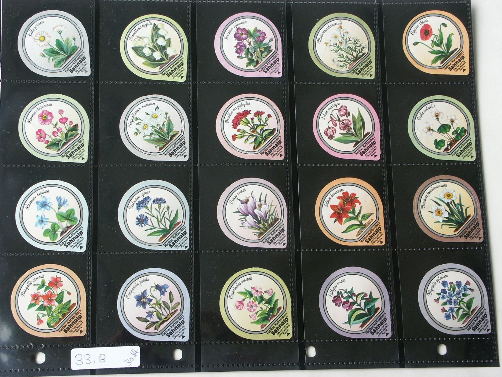 Kaffeerahmdeckel: Serie  33 B   Wald - + Wiesenblumen  8g – Gebraucht aus Niederglatt ZH von herzblatt5449