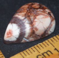 Cabochon L-786 – Vogel Augen Jaspis