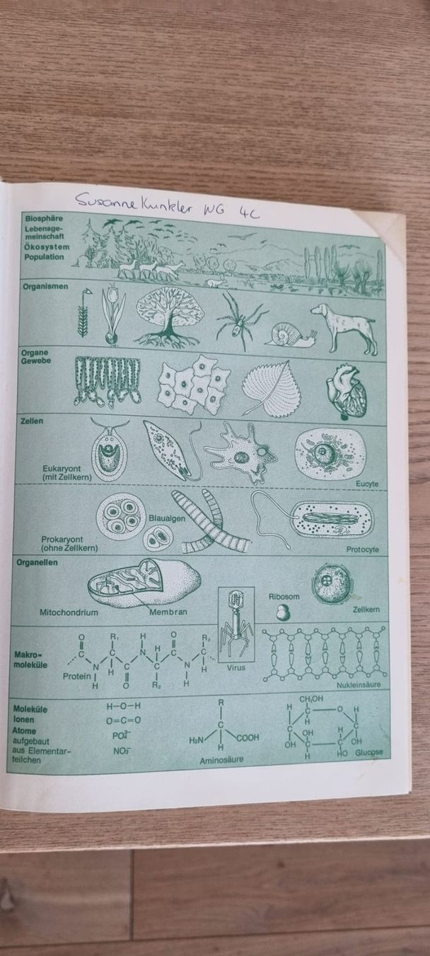 Libri: Biologie Linder - J.B. Metzler – Usato da Spiegel b. Bern venduto da sus_xj97 8