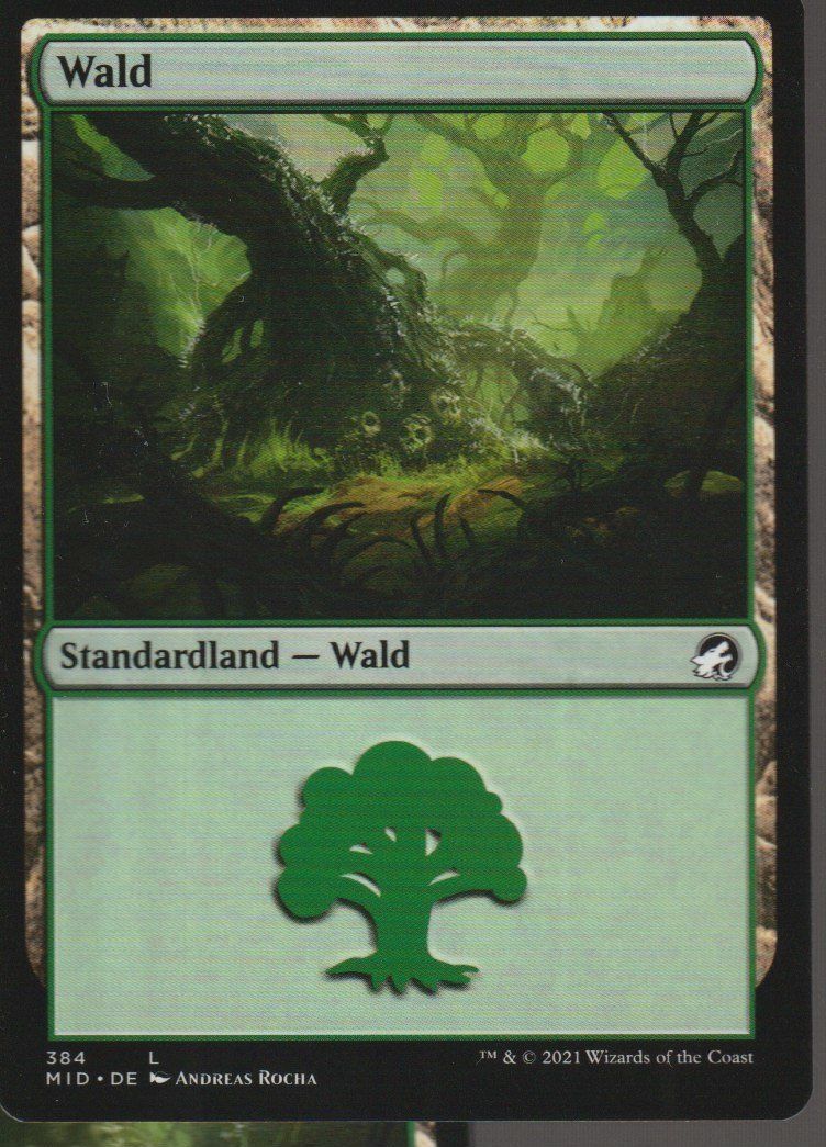 Magic The Gathering Carte collezionabili: TCG Magic The Gathering MTG De MID 384 BASIC LANDS Wald – Nuovo (secondo la descrizione) da Vezia venduto da Aquarius_Age