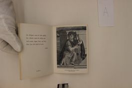 Rosen – Prachtband Silva-Verlag Zürich (Hardcover)