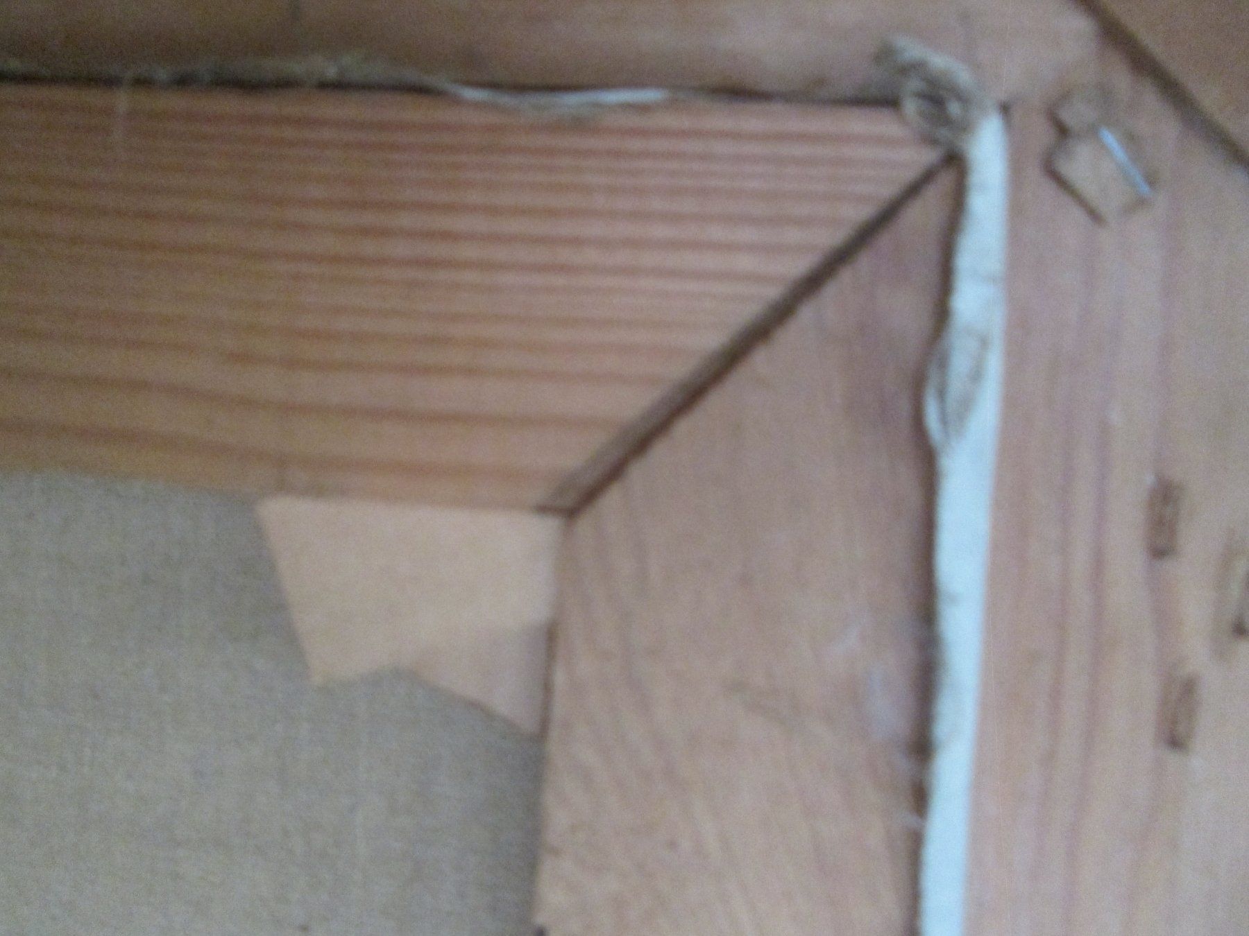 Dipinti: Altes Ölgemälde auf Leinwand, signiert – Usato da Sementina venduto da babucia 4