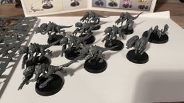 Warhammer 40k Tyraniden Termaganten