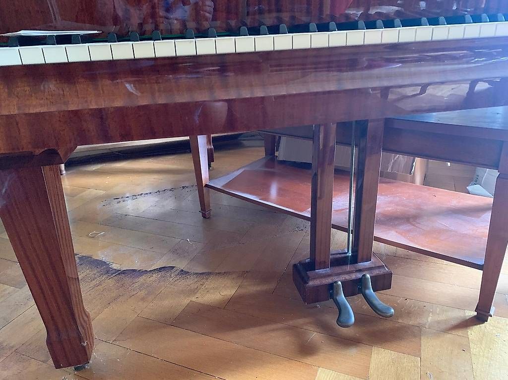 Musikinstrumente: Piano à queue Weinbach – Gebraucht aus Mont-la-Ville von Tropicjungle 3